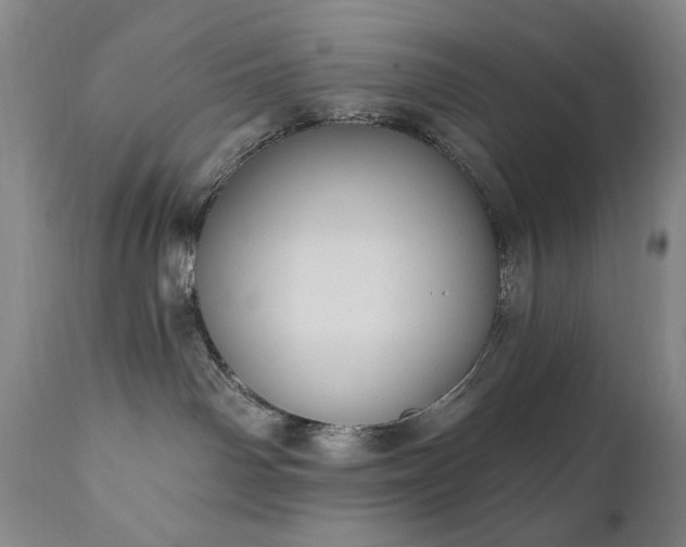 X0000111040142200906251410
