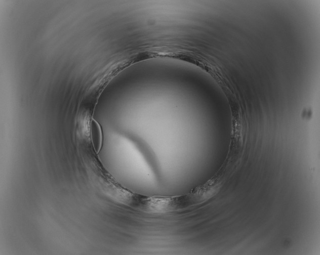 X0000111040143200906251410