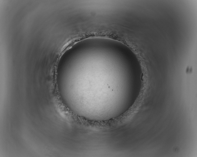 X0000111040144200906251410
