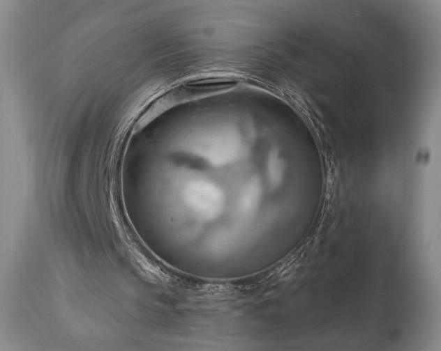 X0000111040145200906251410