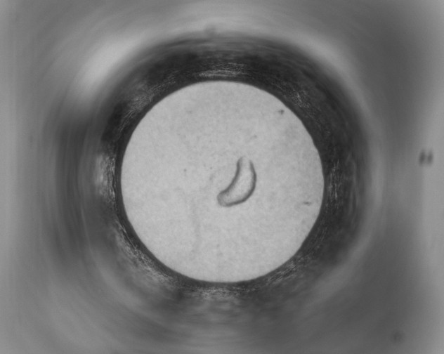 X0000111040146200906251410