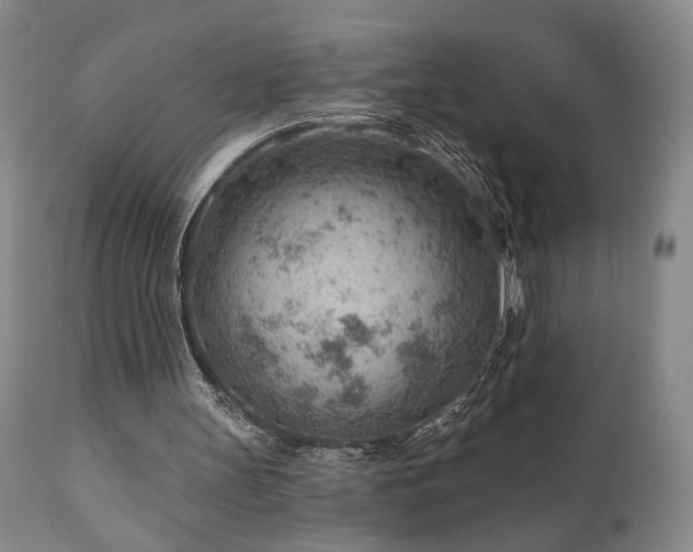 X0000111040147200906251410