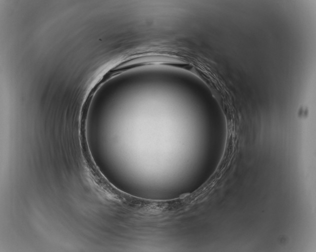 X0000111040148200906251410