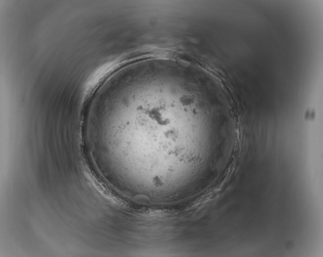 X0000111040149200906251410