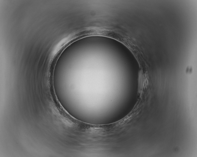 X0000111040150200906251410