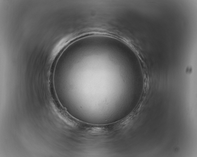 X0000111040151200906251410
