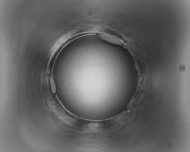 X0000111040152200906251410