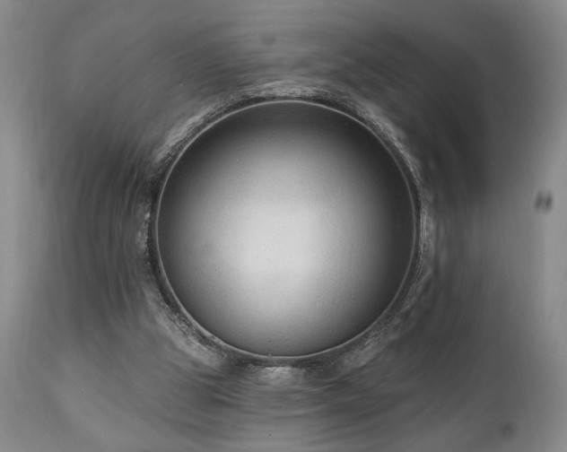 X0000111040153200906251410
