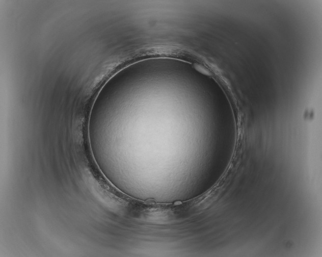 X0000111040154200906251410