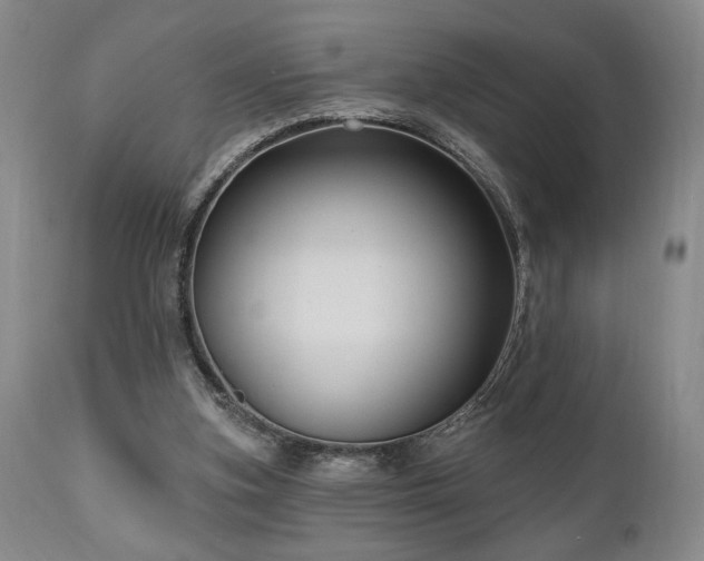 X0000111040155200906251410
