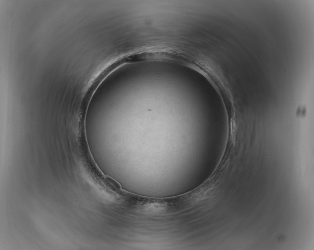 X0000111040156200906251410