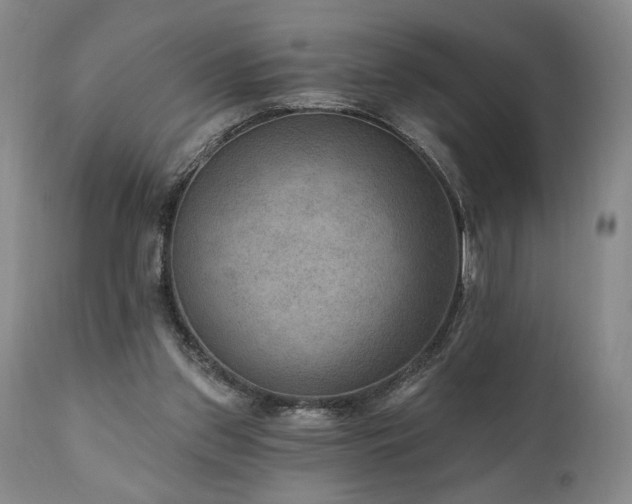X0000111040157200906251410