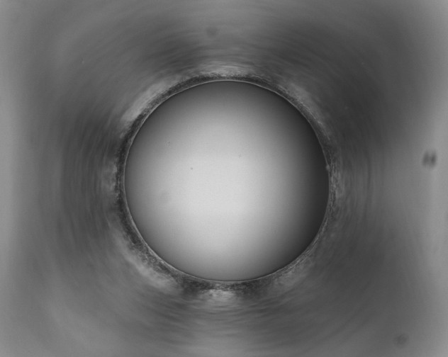 X0000111040159200906251410