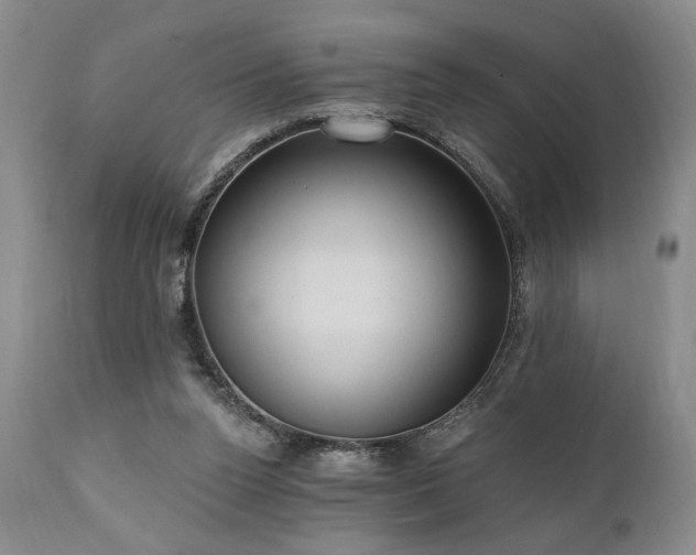 X0000111040160200906251410
