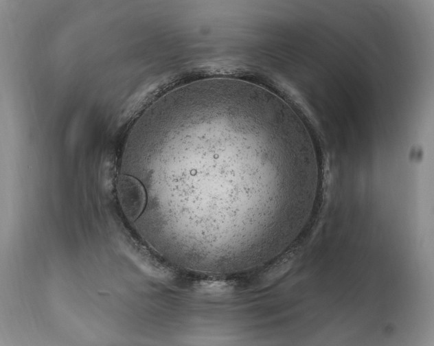 X0000111040161200906251410