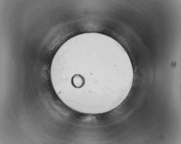 X0000111040162200906251410