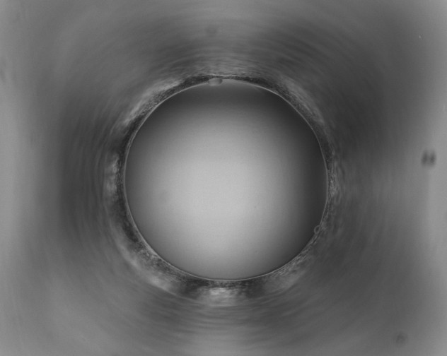 X0000111040163200906251410