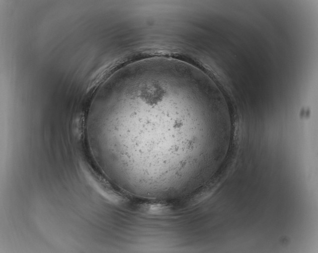 X0000111040165200906251410