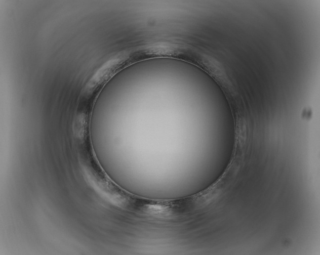 X0000111040167200906251410