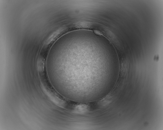 X0000111040168200906251410