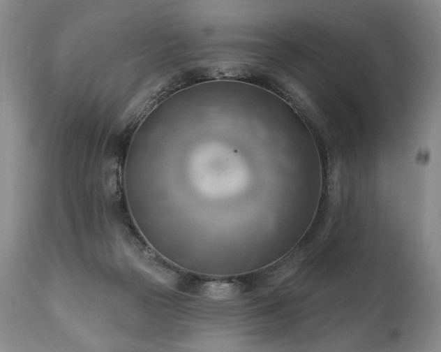X0000111040169200906251410