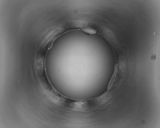 X0000111040172200906251410