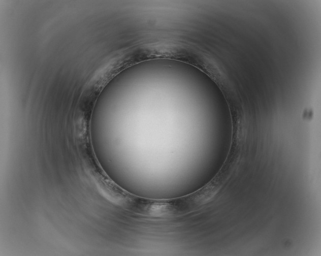 X0000111040173200906251410