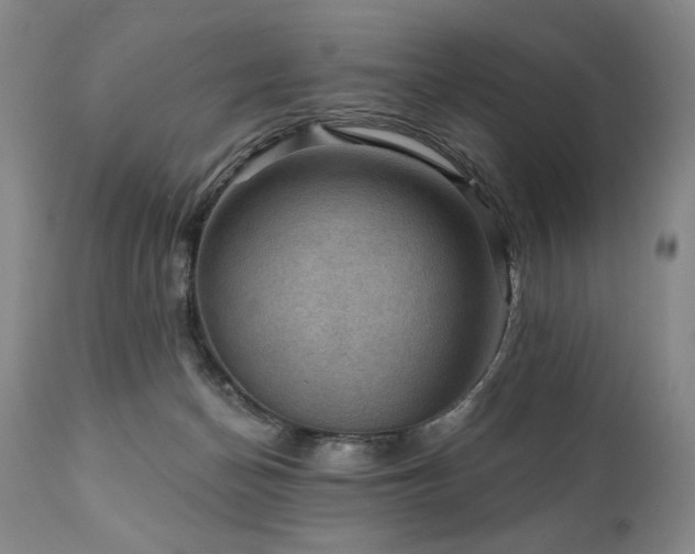 X0000111040174200906251410