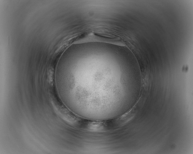 X0000111040175200906251410