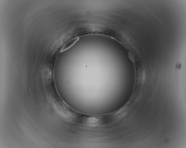 X0000111040176200906251410
