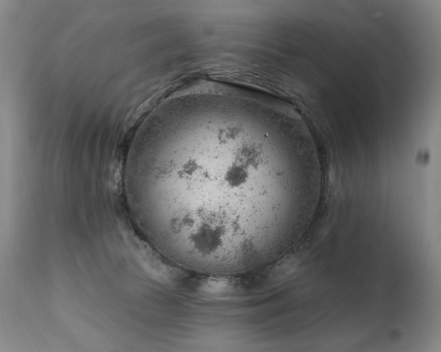 X0000111040177200906251410