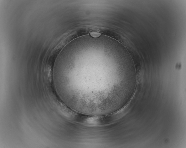 X0000111040178200906251410