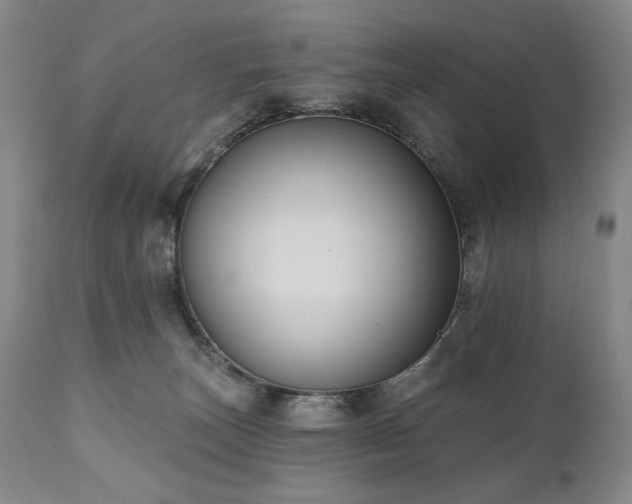 X0000111040179200906251410