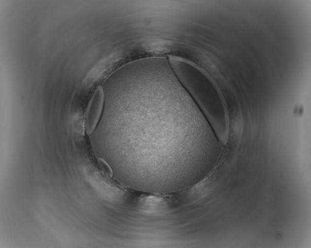 X0000111040180200906251410