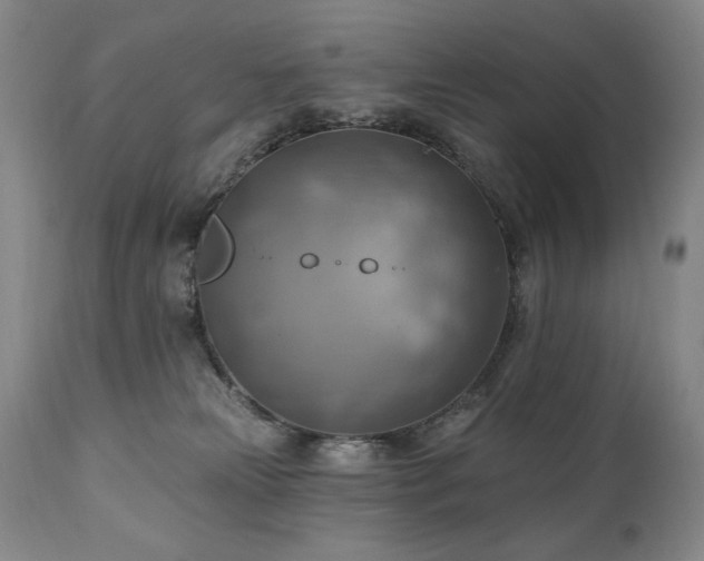 X0000111040181200906251410