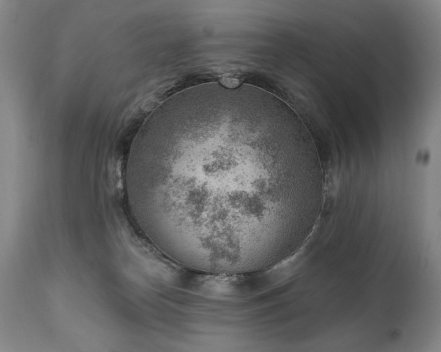 X0000111040182200906251410