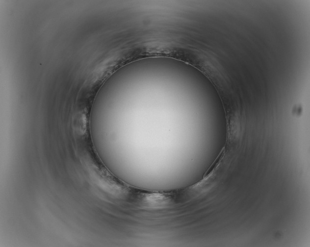 X0000111040183200906251410