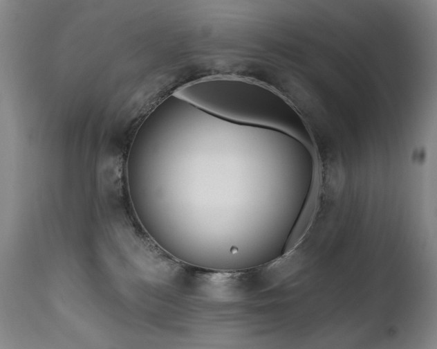 X0000111040184200906251410