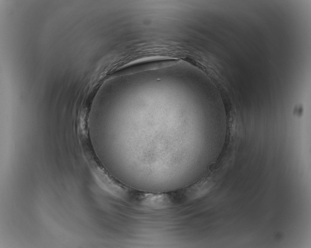 X0000111040185200906251410