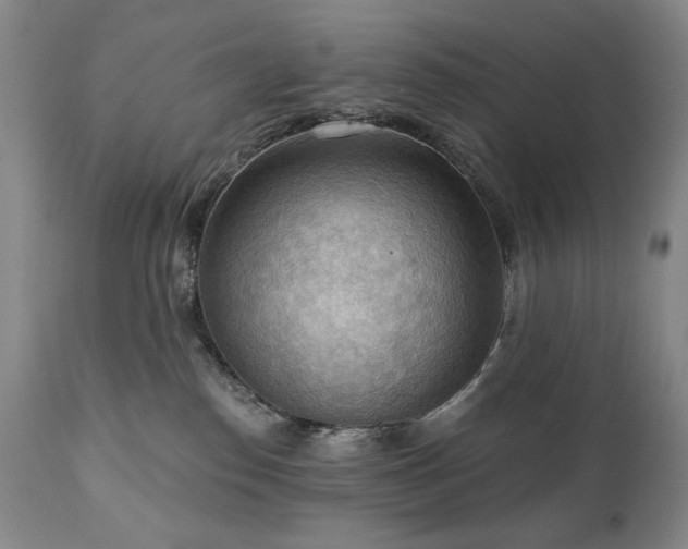 X0000111040186200906251410