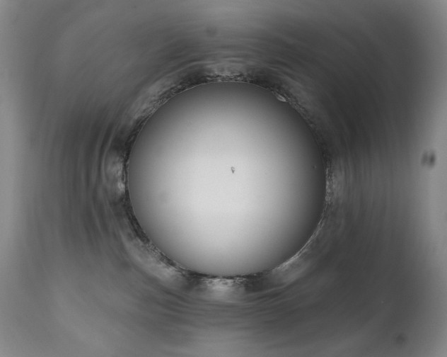 X0000111040187200906251410