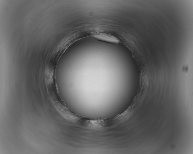 X0000111040188200906251410