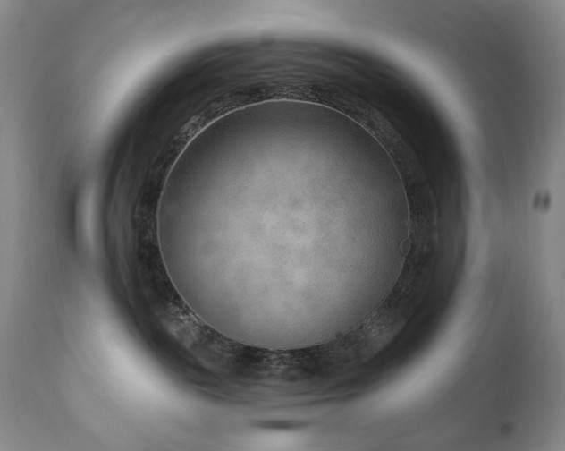 X0000111040189200906251410
