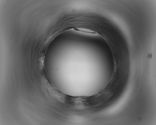 X0000111040190200906251410