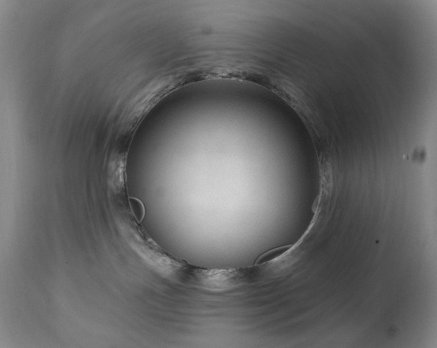 X0000111040191200906251410