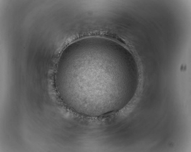 X0000111040192200906251410