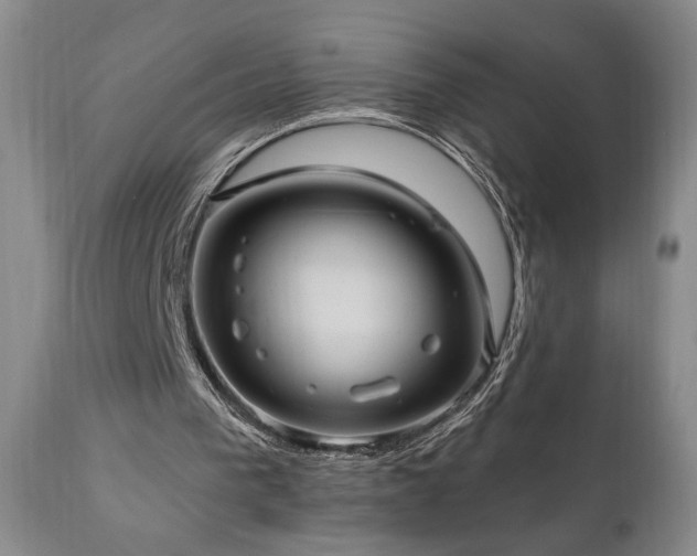 X0000111040193200906251410