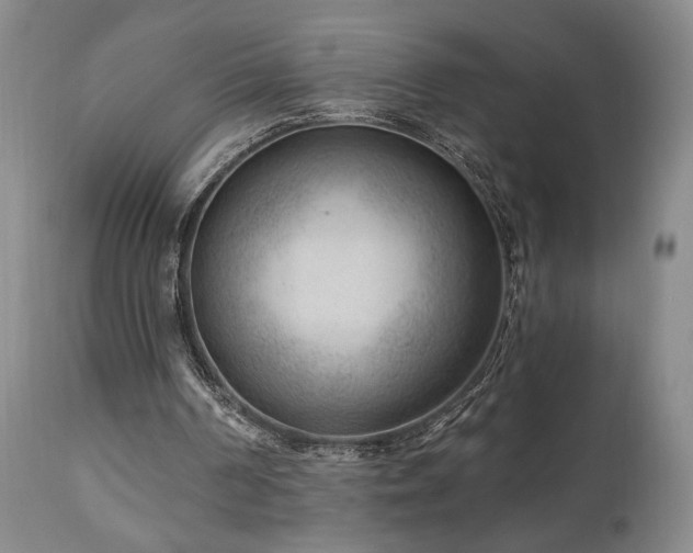X0000111040194200906251410