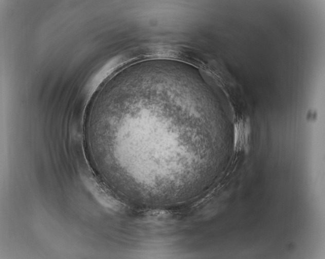 X0000111040195200906251410