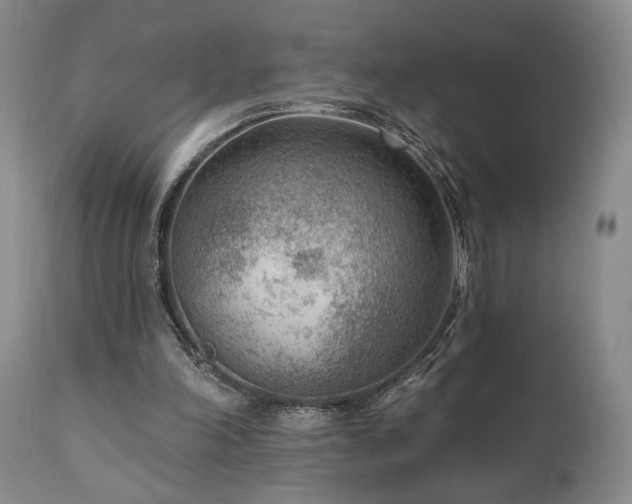 X0000111040198200906251410